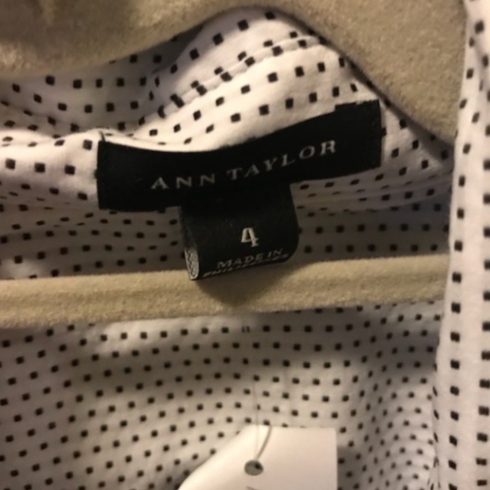 Button Down - Picture 3 of 3